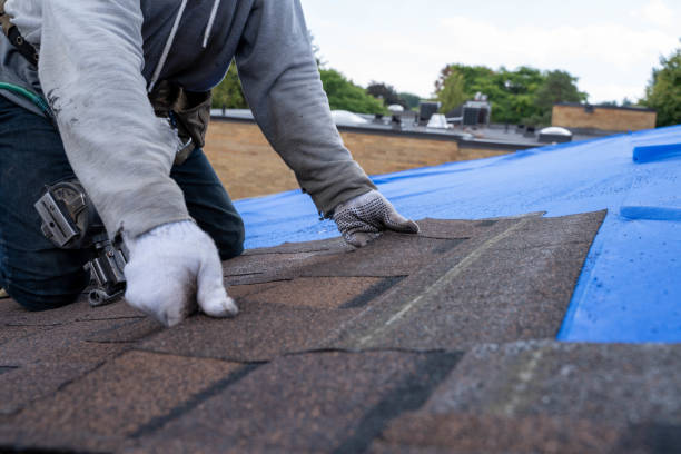 Best Metal Roofing Contractor  in Colby, KS